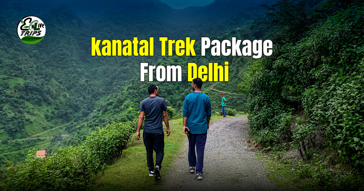 kanatal trek package from delhi
